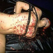 Shibari: Japan bondage Pictures