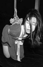 Shibari: Japan bondage Pictures