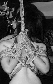 Shibari: Japan bondage Pictures