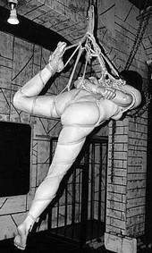 Shibari: Japan bondage Pictures