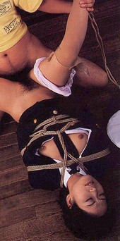Shibari: Japan bondage Pictures