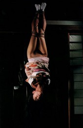 Shibari: Japan bondage Pictures