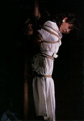 Shibari: Japan bondage Pictures