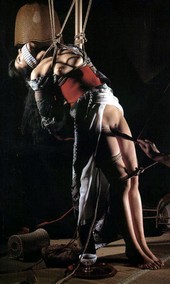 Shibari: Japan bondage Pictures