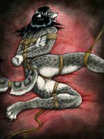 free furry hentai videos