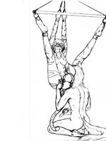 free furry hentai videos