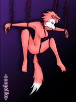 furry gay comics