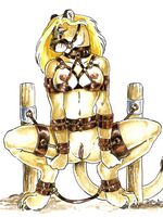 furry gay toons 