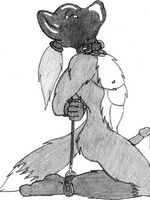 furry gay toons 