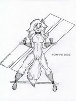 gay furry art 
