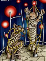 Furry BDSM