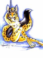 furry gay toons 