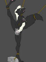 furry gay toons 