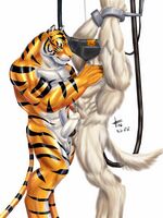 furry yiff hentai