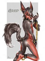 furry hentai gallery 