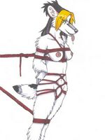 furry hentai pics 