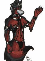 free furry hentai videos