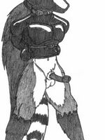 free furry hentai videos