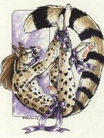 furry hentai movies 