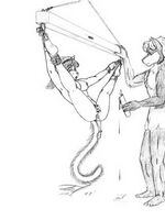 furry yiff hentai