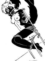 furry hentai pics 