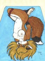 free gay furry porn