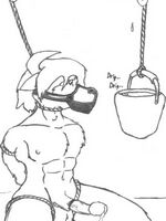 free furry gay