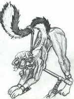 free gay furry porn