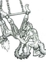 furry gay comics