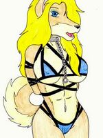 free gay furry porn