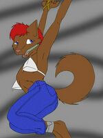 free furry gay
