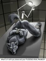 furry hentai flash games