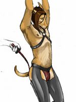 furry hentai flash games