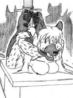 furry yiff hentai