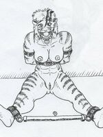 furry hentai movies 