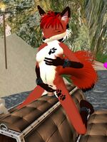 furry hentai movies 