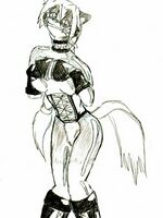 furry hentai gallery 