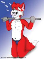 free furry gay