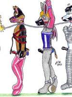 furry gay toons 