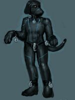 gay furry art 
