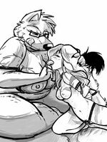 furry gay toons 