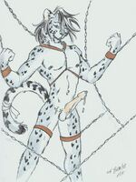 free gay furry porn
