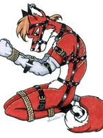 furry gay toons 