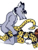 furry gay toons 
