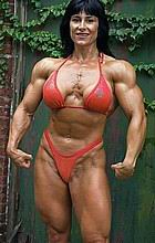 ironstars12.jpg