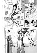 fruits basket manga
