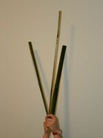 amateur lesbian bondage
