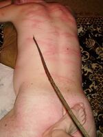 amateur private bondage