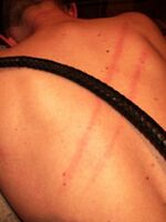 amateur lesbian bondage