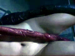 Tentacles Alert